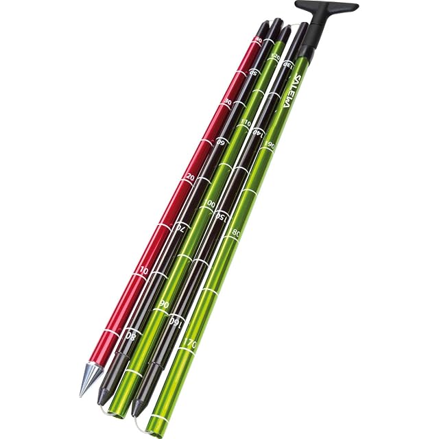 Salewa Lightning 240 Lawinensonde in Grün und Schwarz