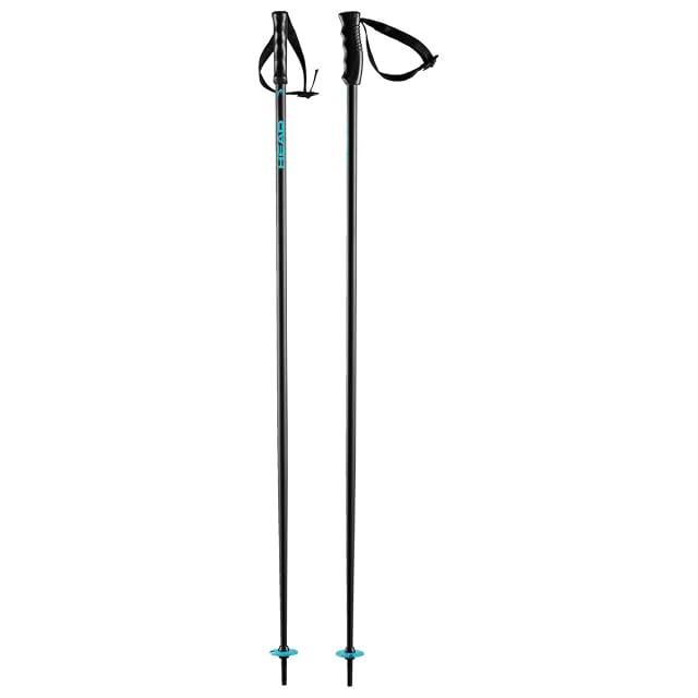 HEAD Multi Skistöcke in Schwarz und Speed Blue